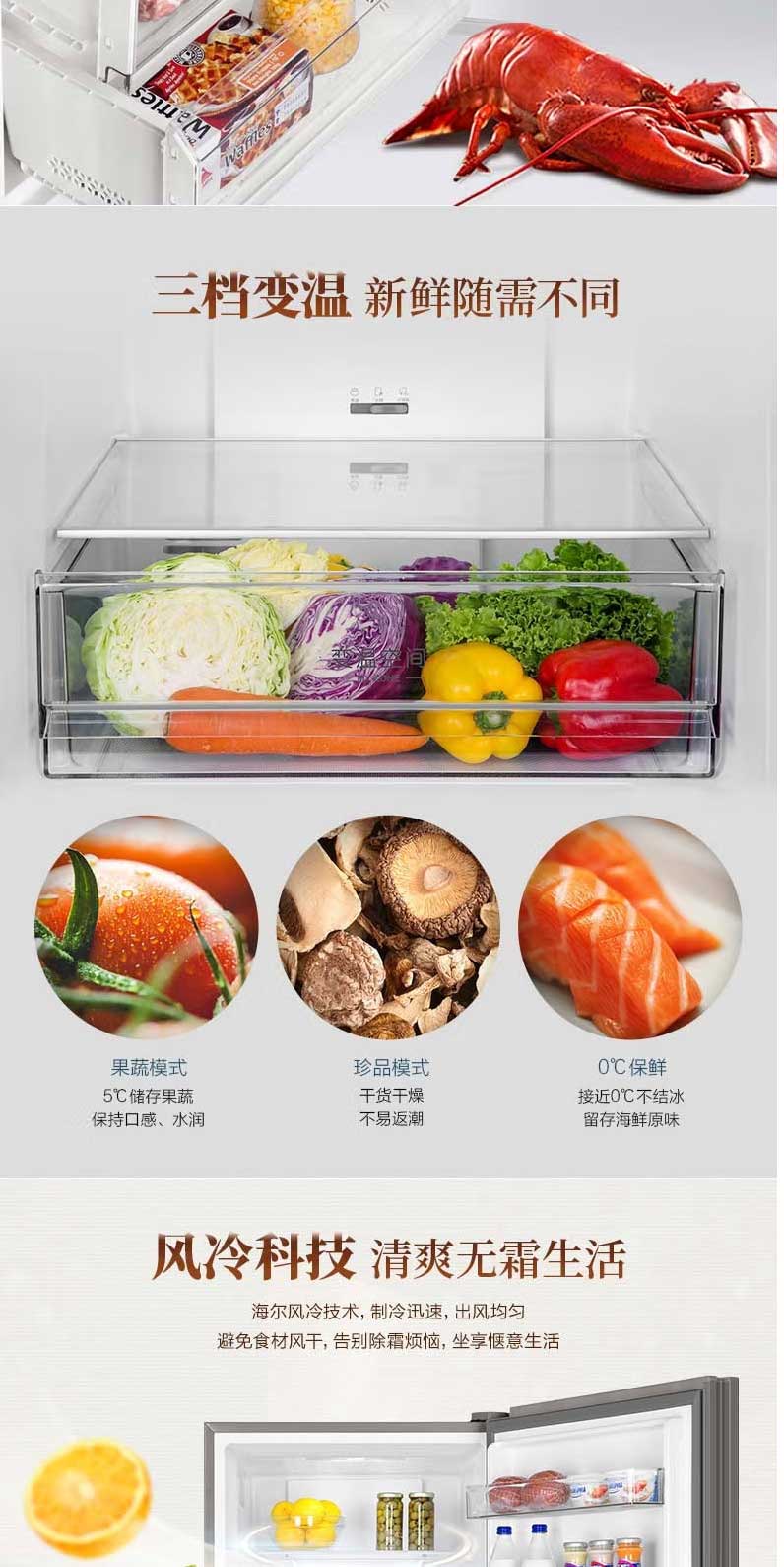 海爾（Haier）-風(fēng)冷無霜-兩門雙門冰箱-家用靜音節(jié)能-變頻一級能效-309升大容量-BCD-30_03.jpg